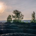 Auf dem Plateau der Bergehalde Lydia Camphausen (Saarland)