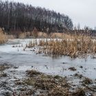 Auf dem Plateau der Halde Lydia Camphausen