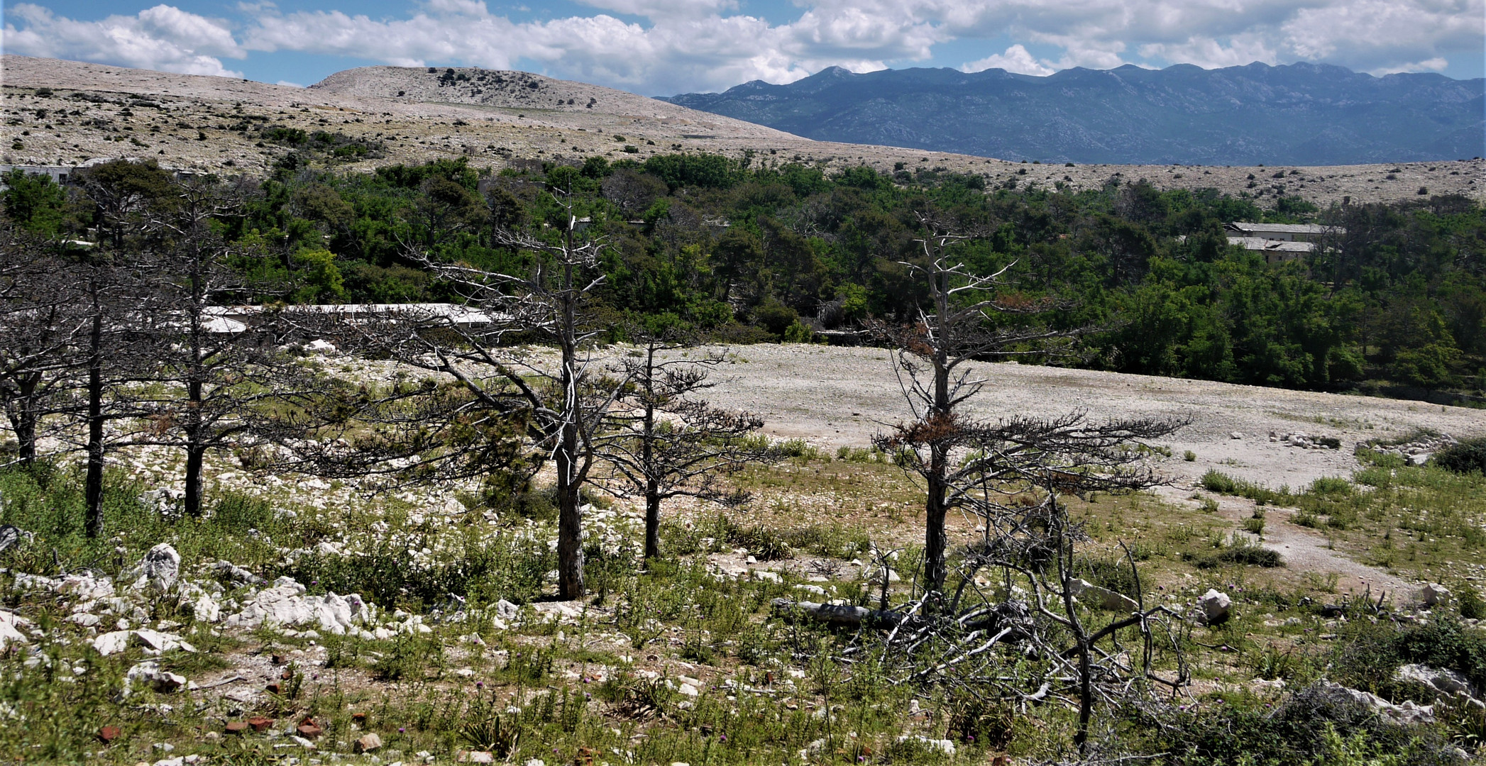 Auf dem Plateau der Schreckensinsel - Ödland vor dem Velebit