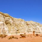 Auf dem Plateau der Toadstool Hoodoos