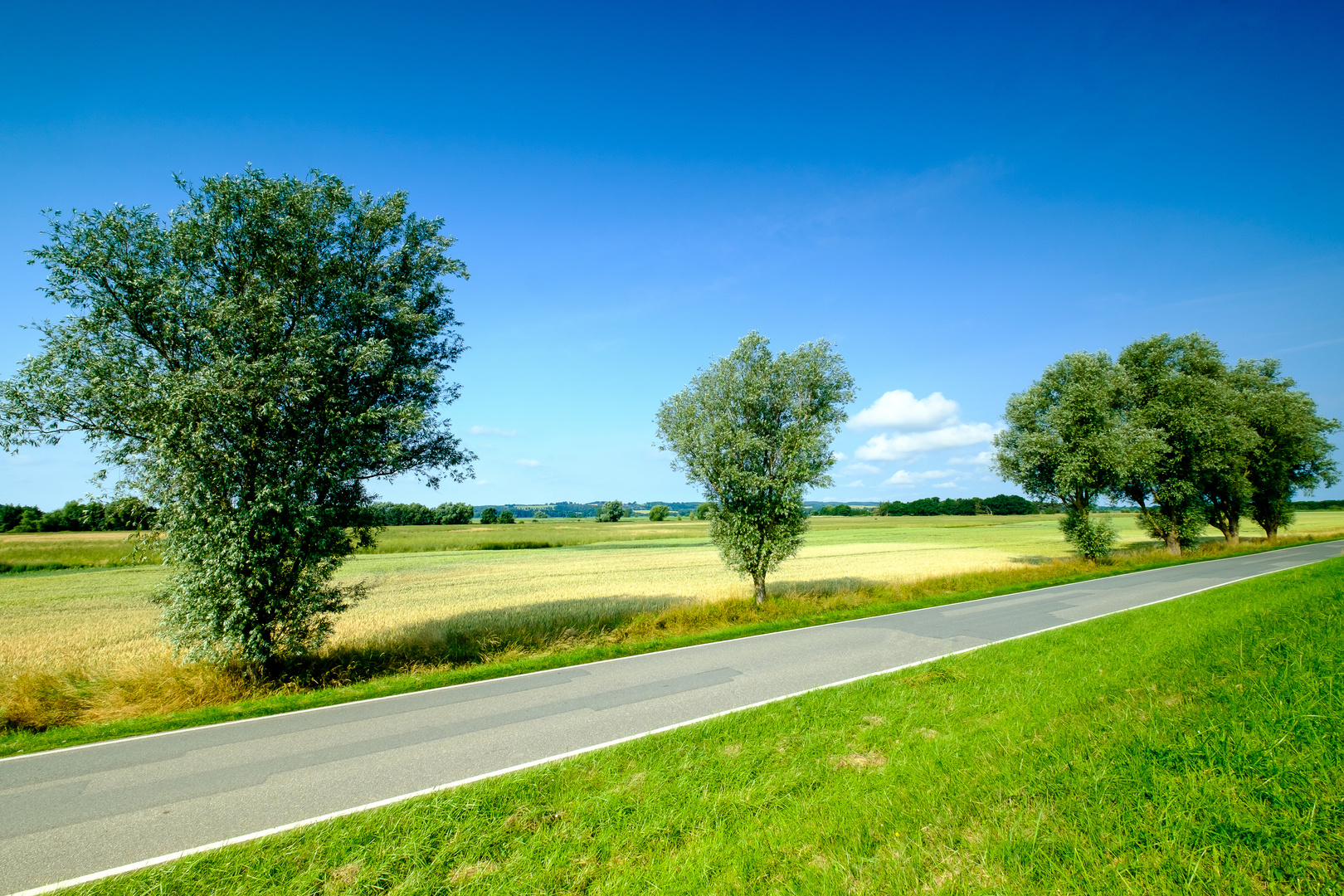 Auf dem platten Land