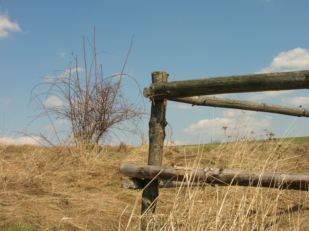 Auf dem polnischen Land.