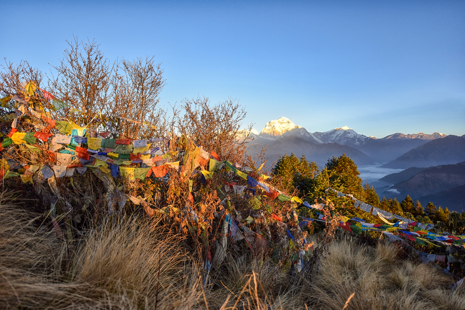 Auf dem Poon Hill 02