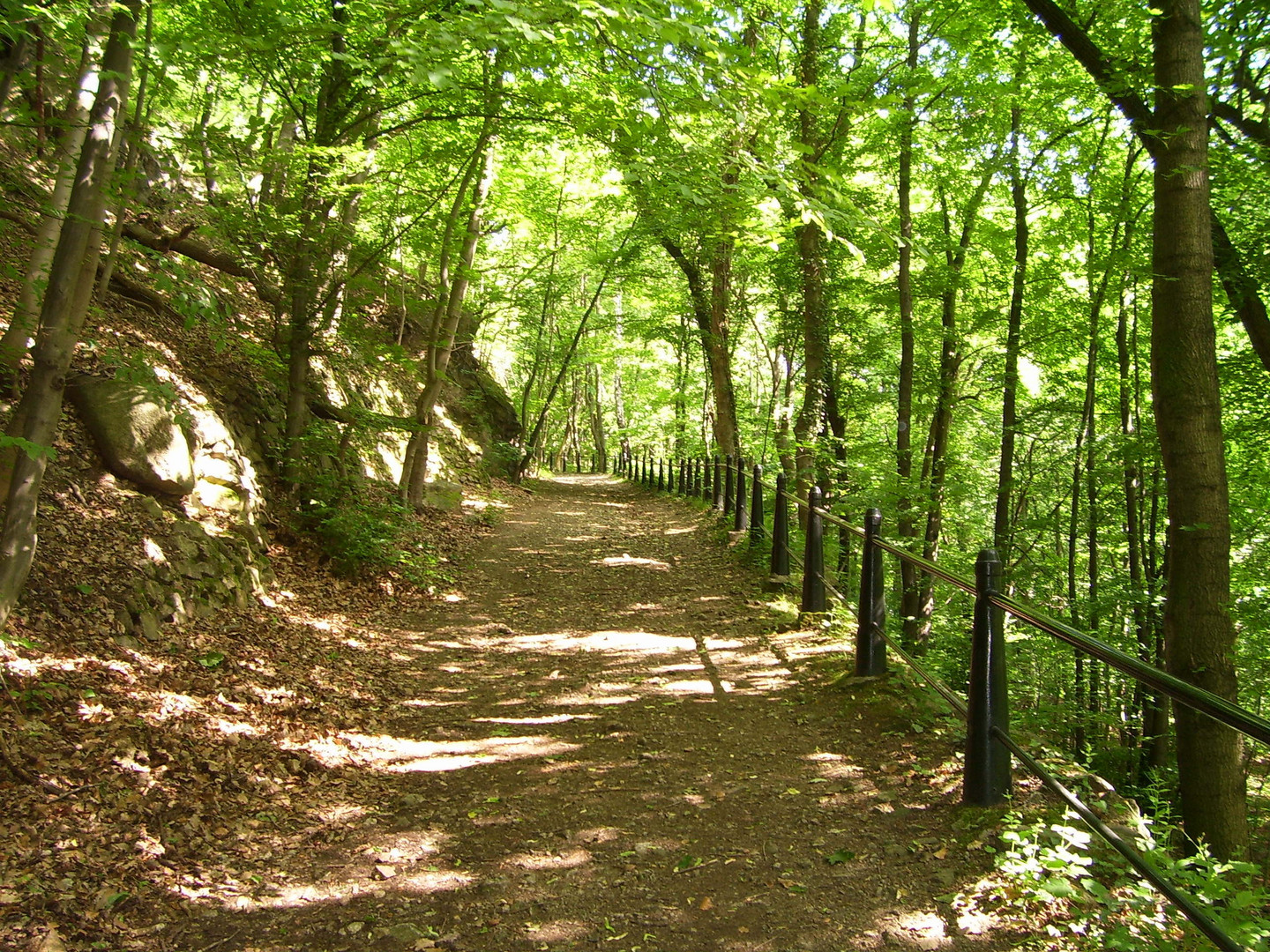 Auf dem Präsidentenweg