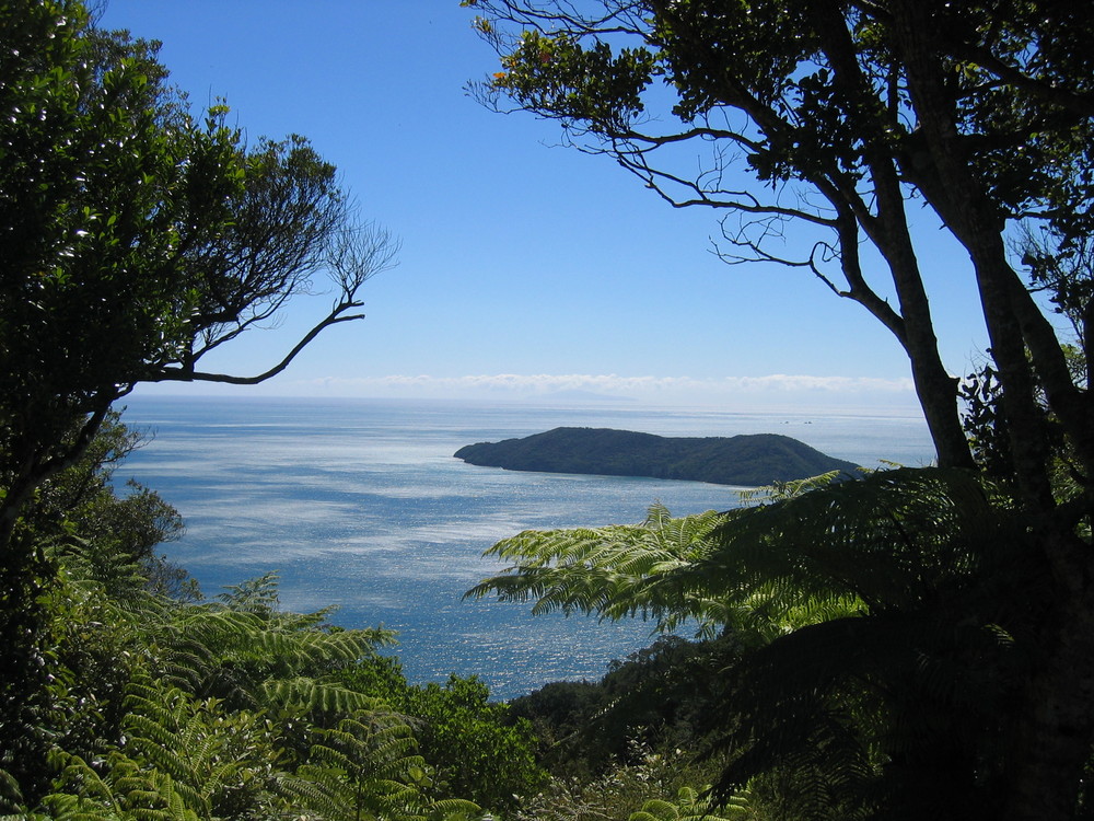 Auf dem Queen Charlotte Track