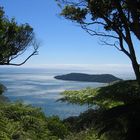 Auf dem Queen Charlotte Track