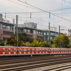 Auf dem "Radlerweg"