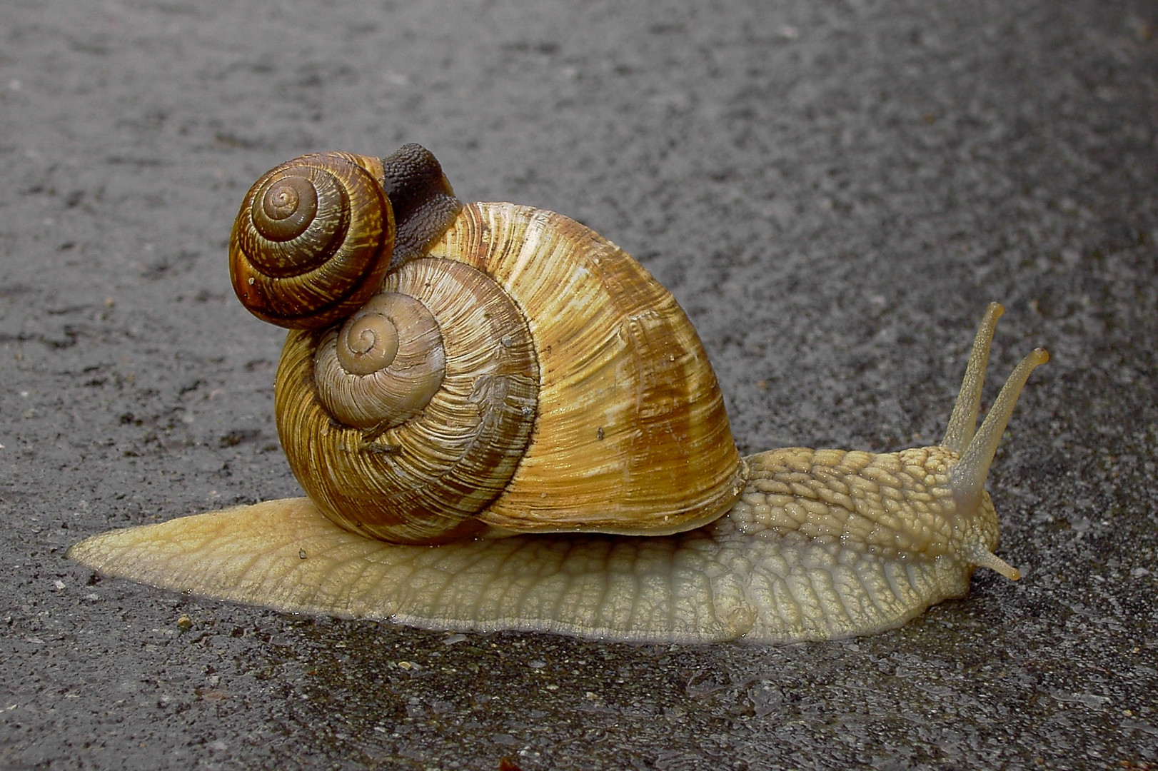 Auf dem Radweg