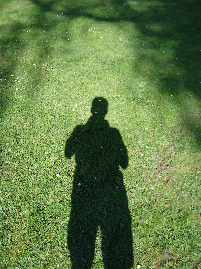 Auf dem Rasen erschien mein Schatten..