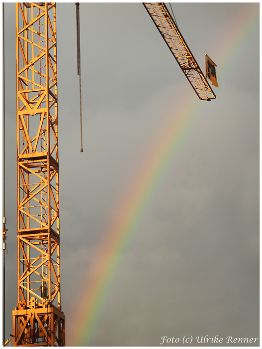 Auf dem Regenbogen.....