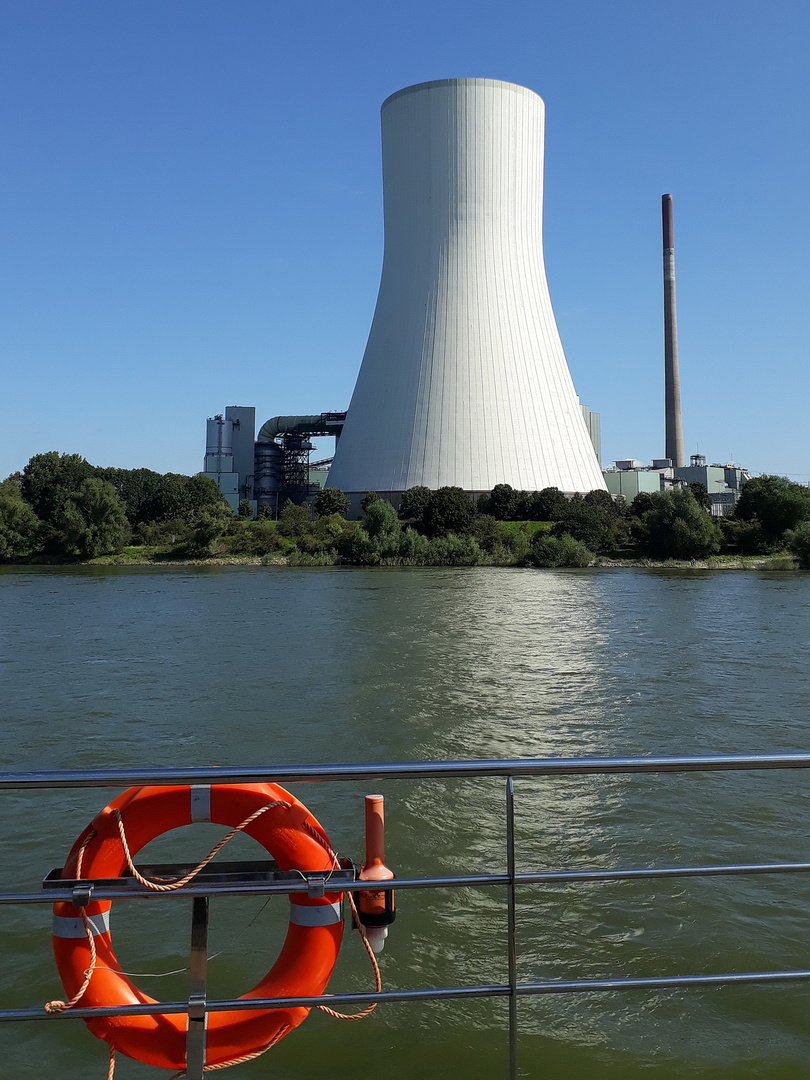 ... auf dem Rhein 