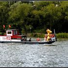 Auf dem Rhein.