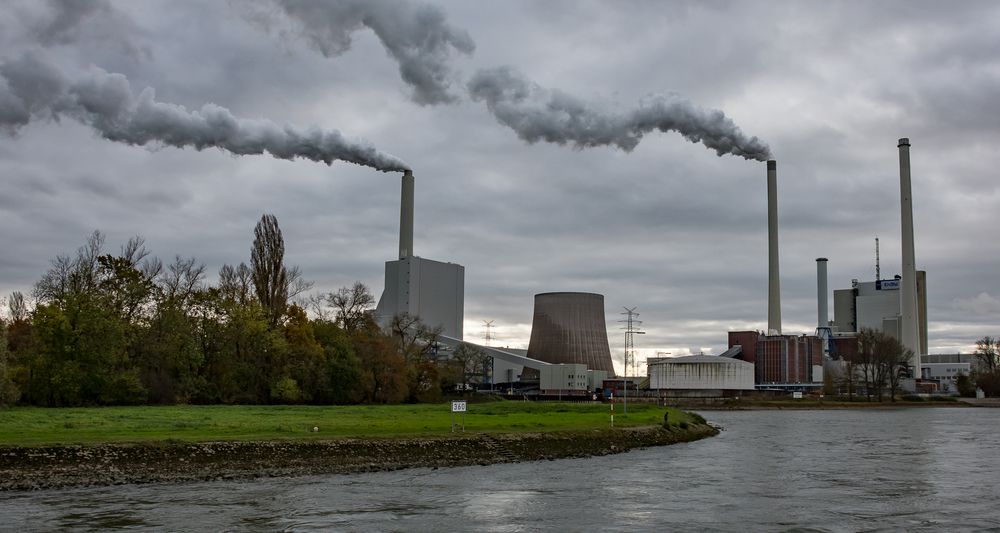 auf dem Rhein bei Karlsruhe