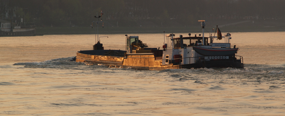 Auf dem Rhein bei Köln - dem Sonnenuntergang entgegen ...