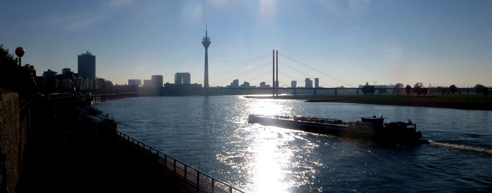 auf dem Rhein der Sonne entgegen