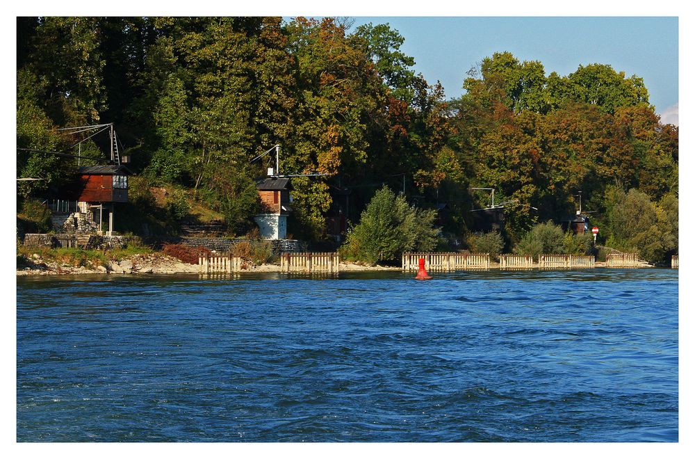 Auf dem Rhein X: Der Lachsfang lässt grüssen