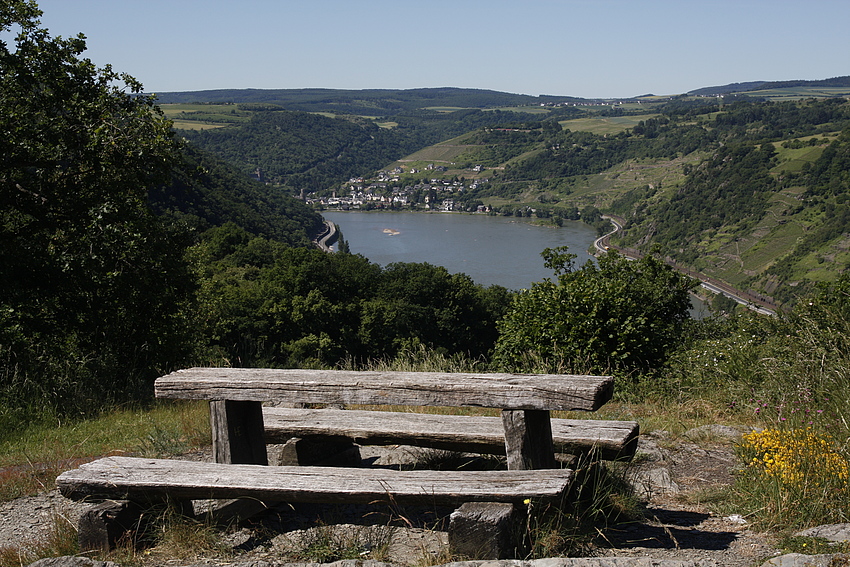 Auf dem Rheinsteig