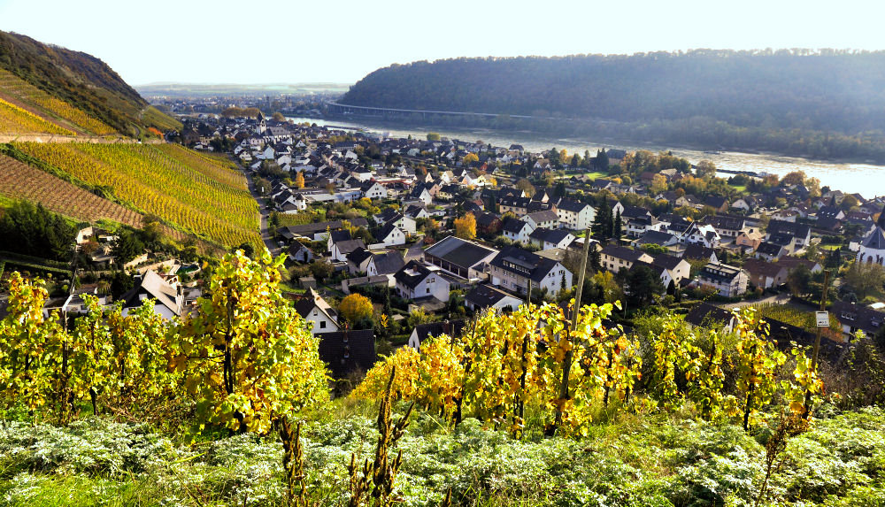 Auf dem Rheinsteig bei Leutesdorf