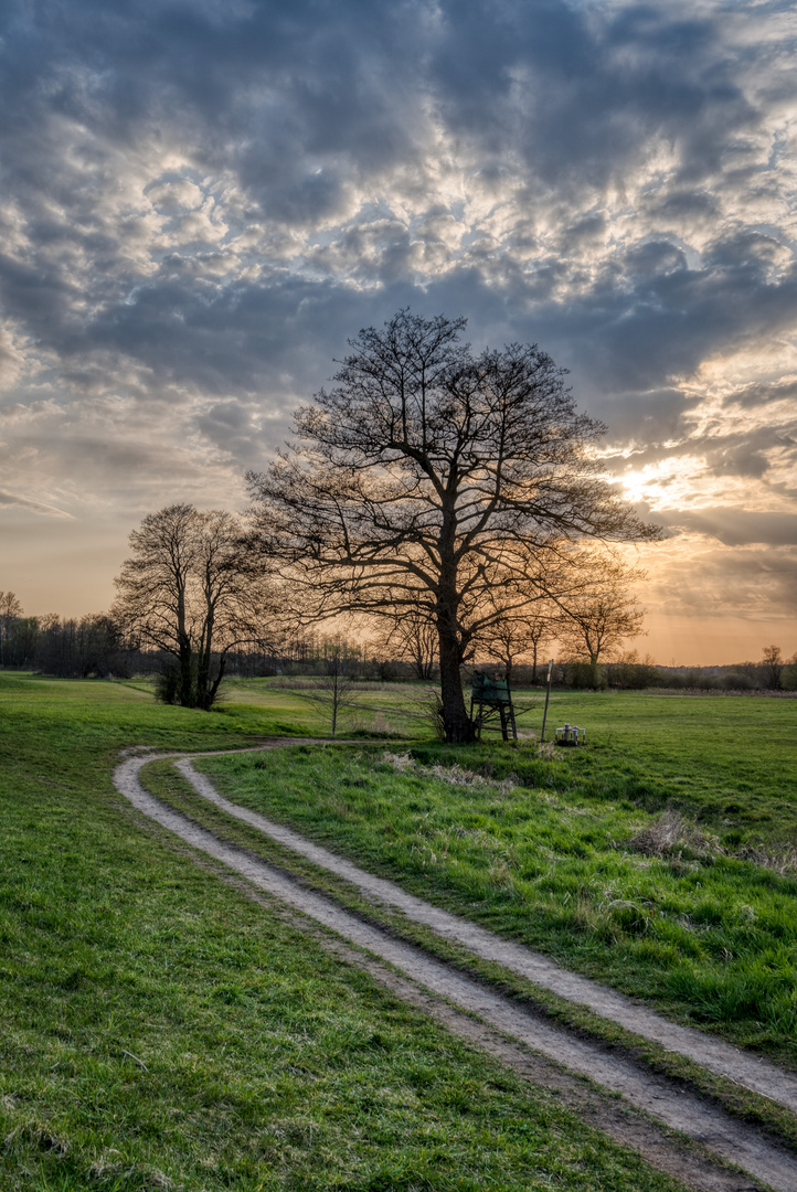 Auf dem richtigen Weg