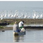 Auf dem Rio Magdalena............