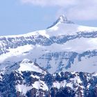 Auf dem Rochers-de- Naye.