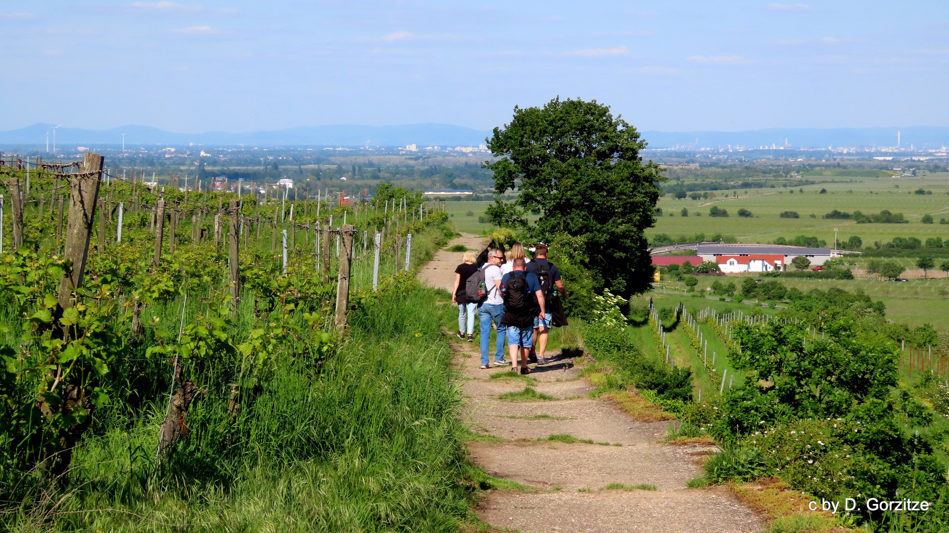 Auf dem Römer Rundwanderweg !