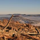 Auf dem Rößberg