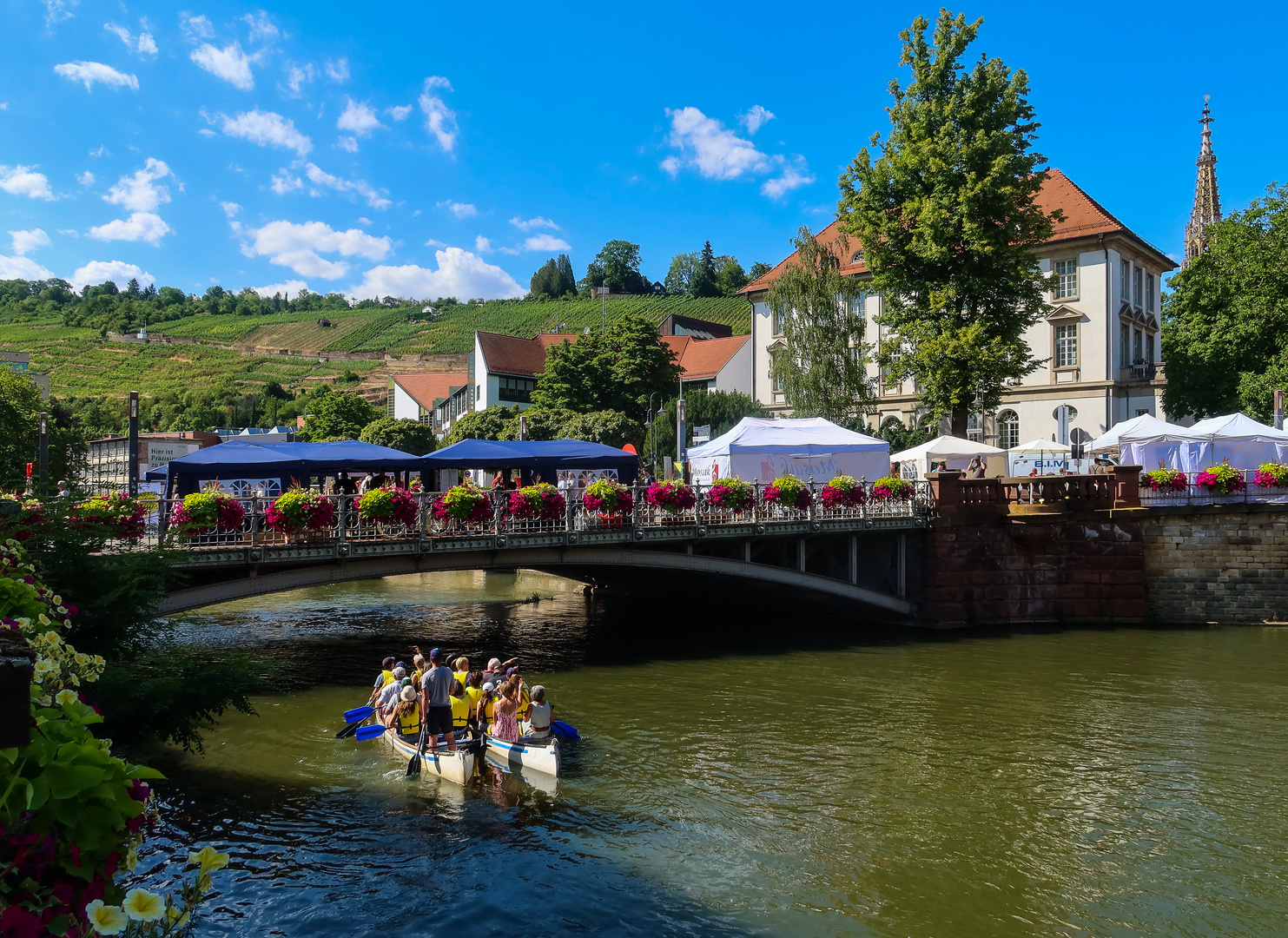 Auf dem Rossneckar ...