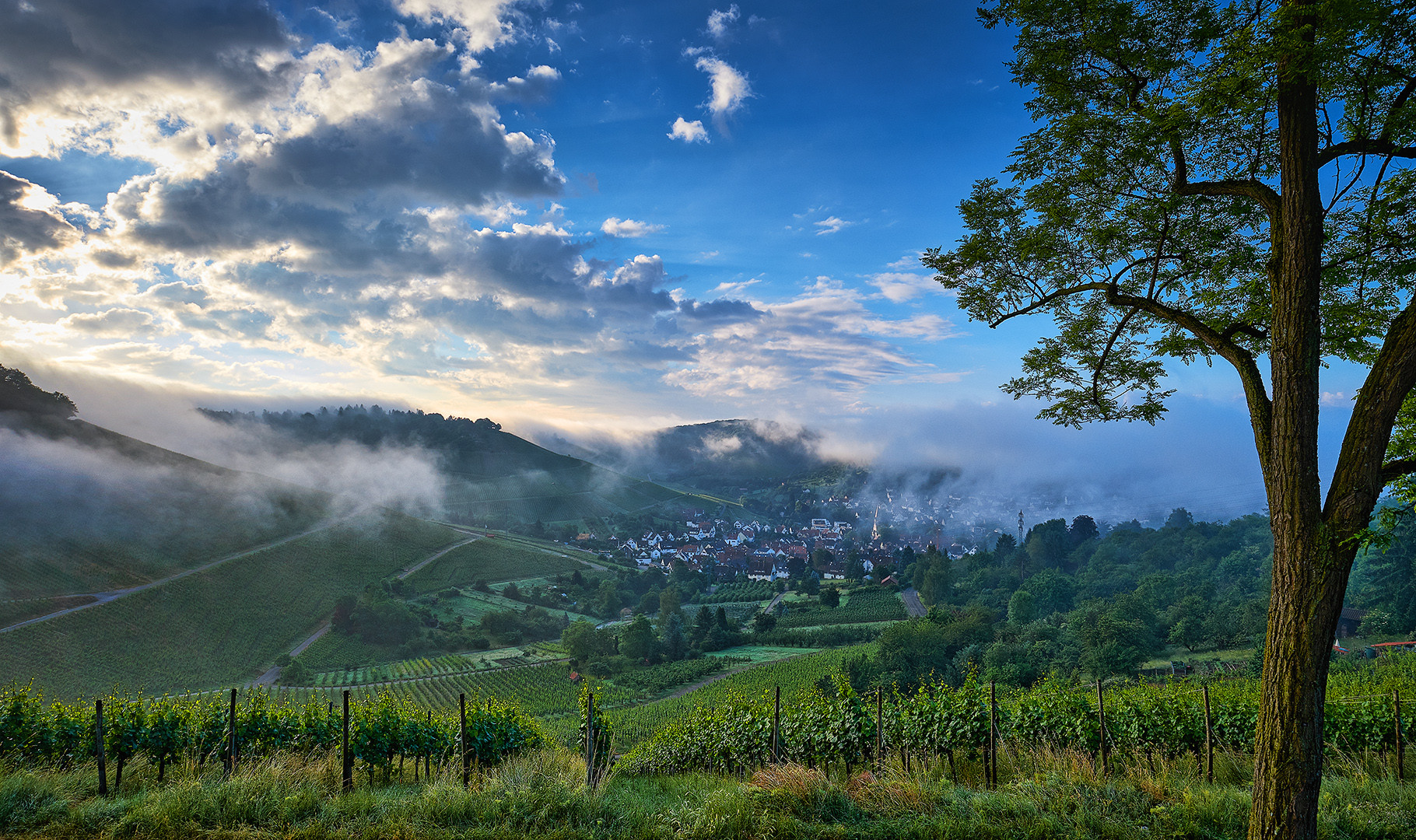 Auf dem "Roten Berg" 