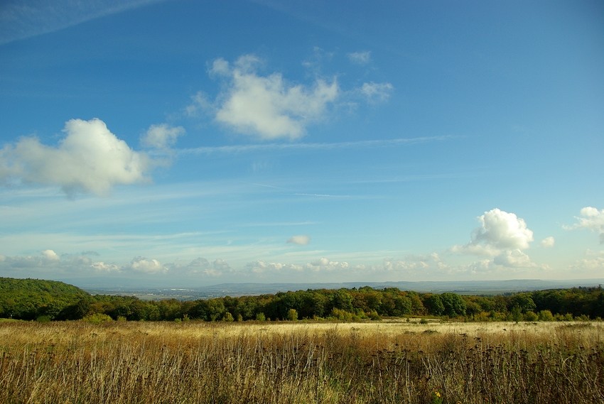 Auf dem Rotenfels