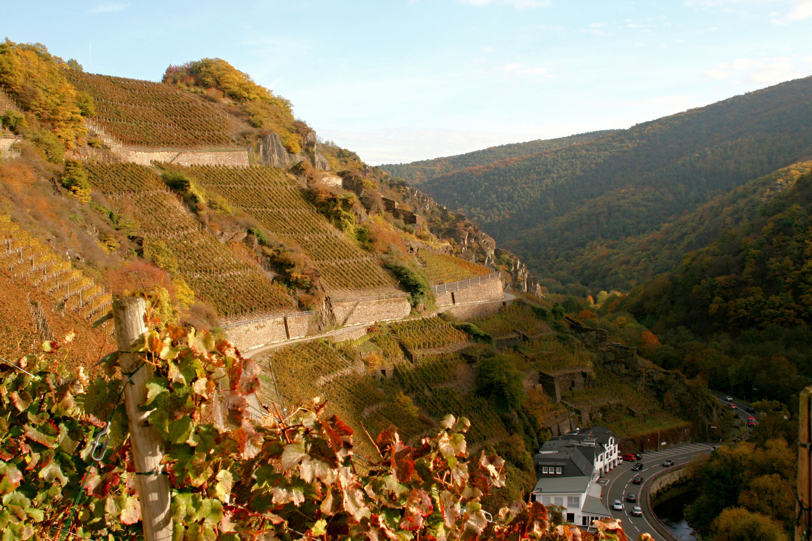 Auf dem Rotwein Wanderweg