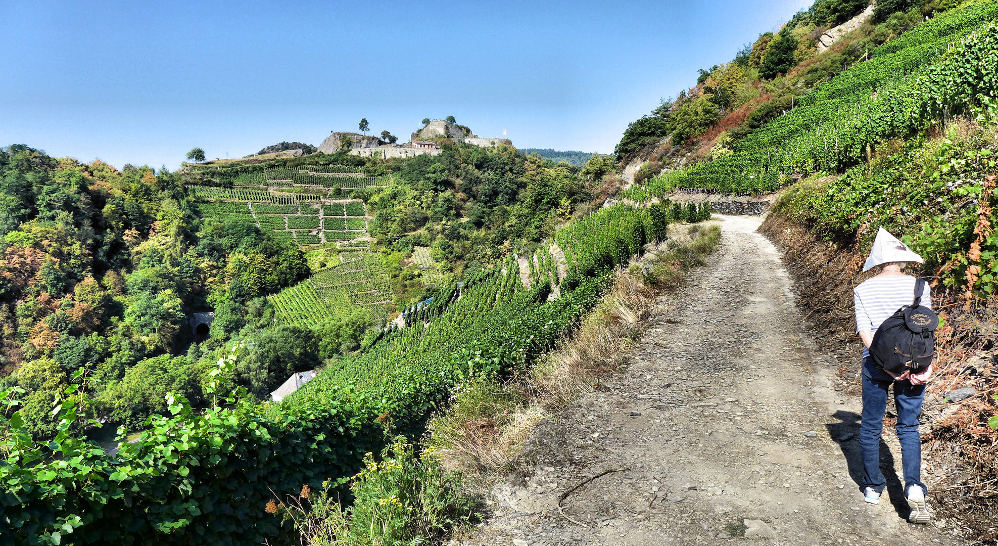 Auf dem Rotweinwanderweg