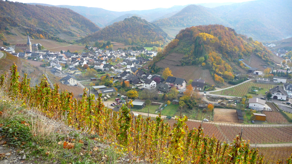 Auf dem Rotweinwanderweg Teil 2/1