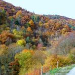 Auf dem Rotweinwanderweg Teil 2/2