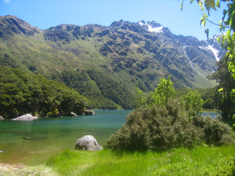 Auf dem Routeburn Track!