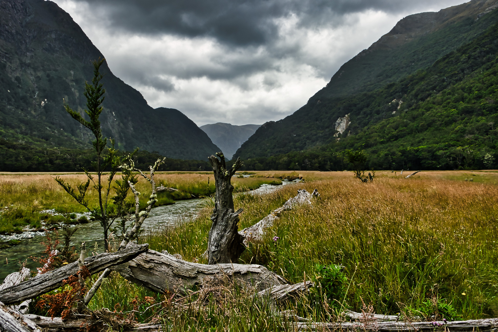 Auf dem Routeburn Track