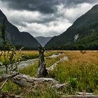 Auf dem Routeburn Track