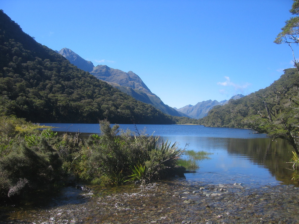 Auf dem Routeburn Track II