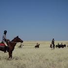 Auf dem Ruecken der Pferde durch die Namib