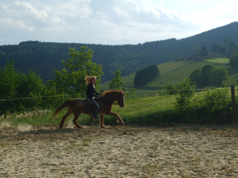 Auf dem Rücken der Pferde liegt das Glück der Erde