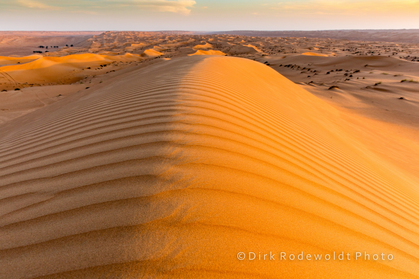 Auf dem Rücken eines Sandwurms