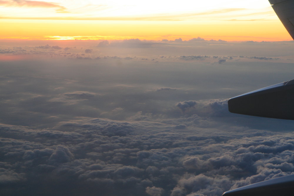 Auf dem Rückflug