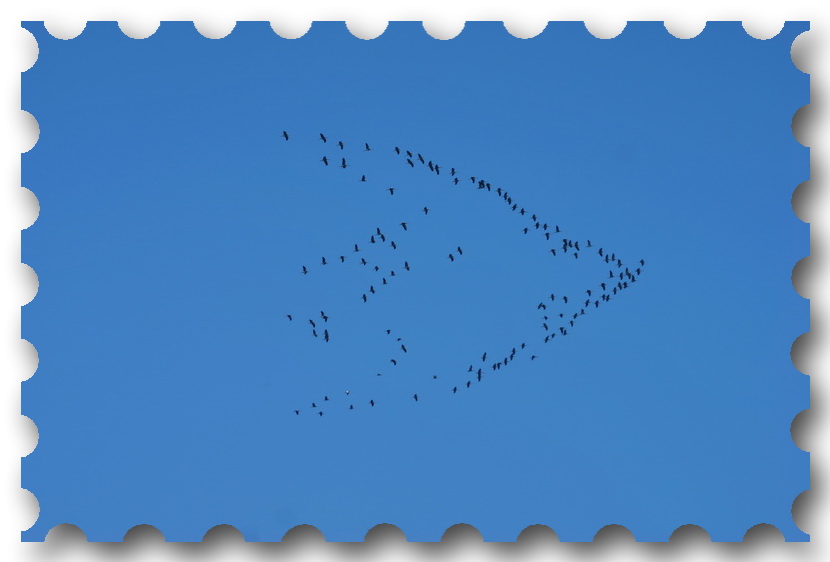 Auf dem Rückflug?????