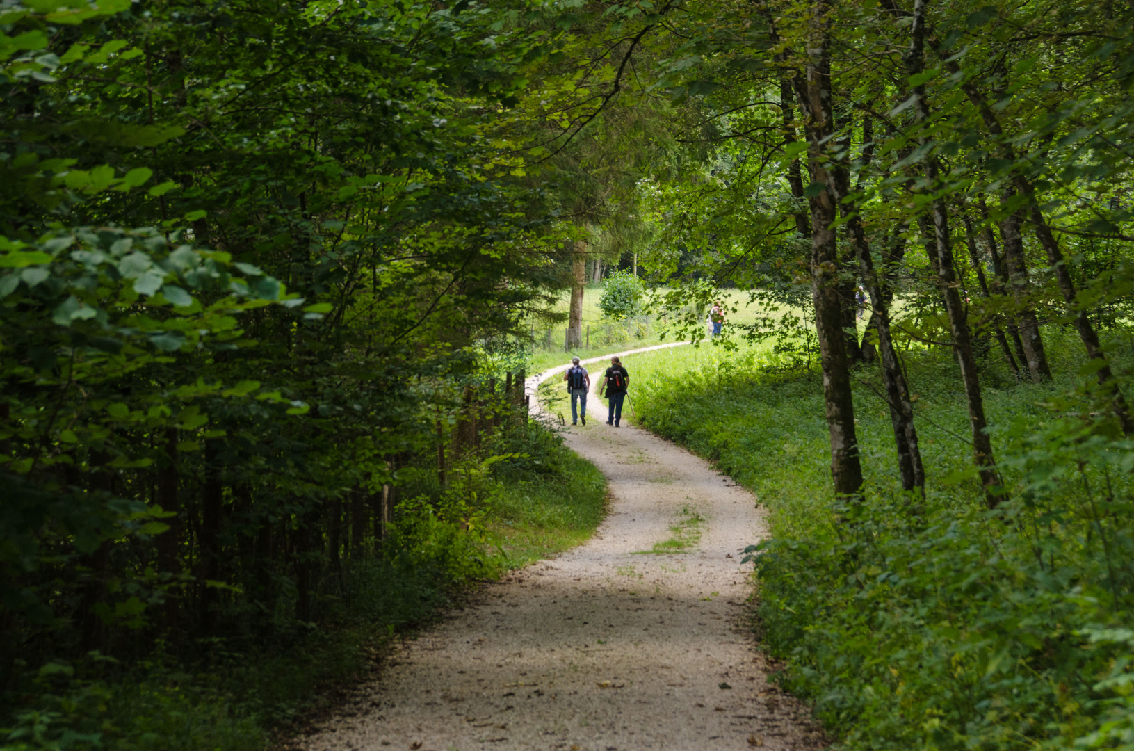 auf dem Rückweg