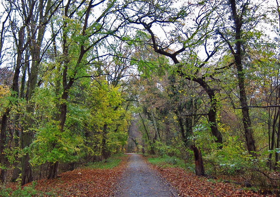 auf dem Rückweg