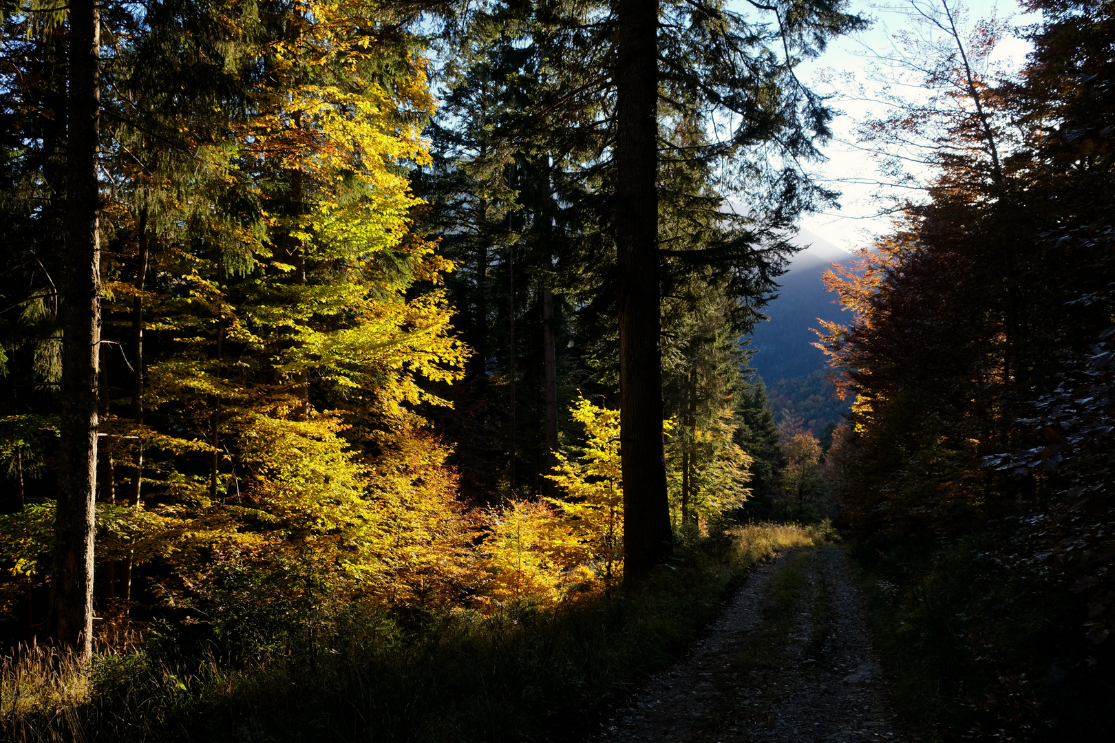 Auf dem Rückweg