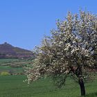 Auf dem Rückweg vom böhmischen Hradek links im Bild...