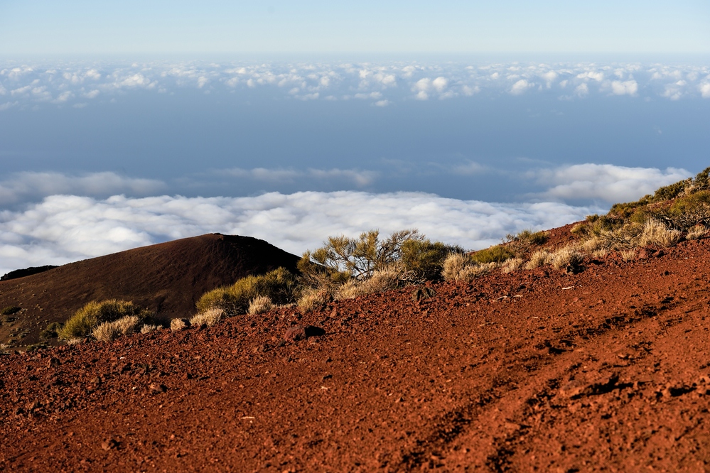 Auf dem Rückweg vom Teide