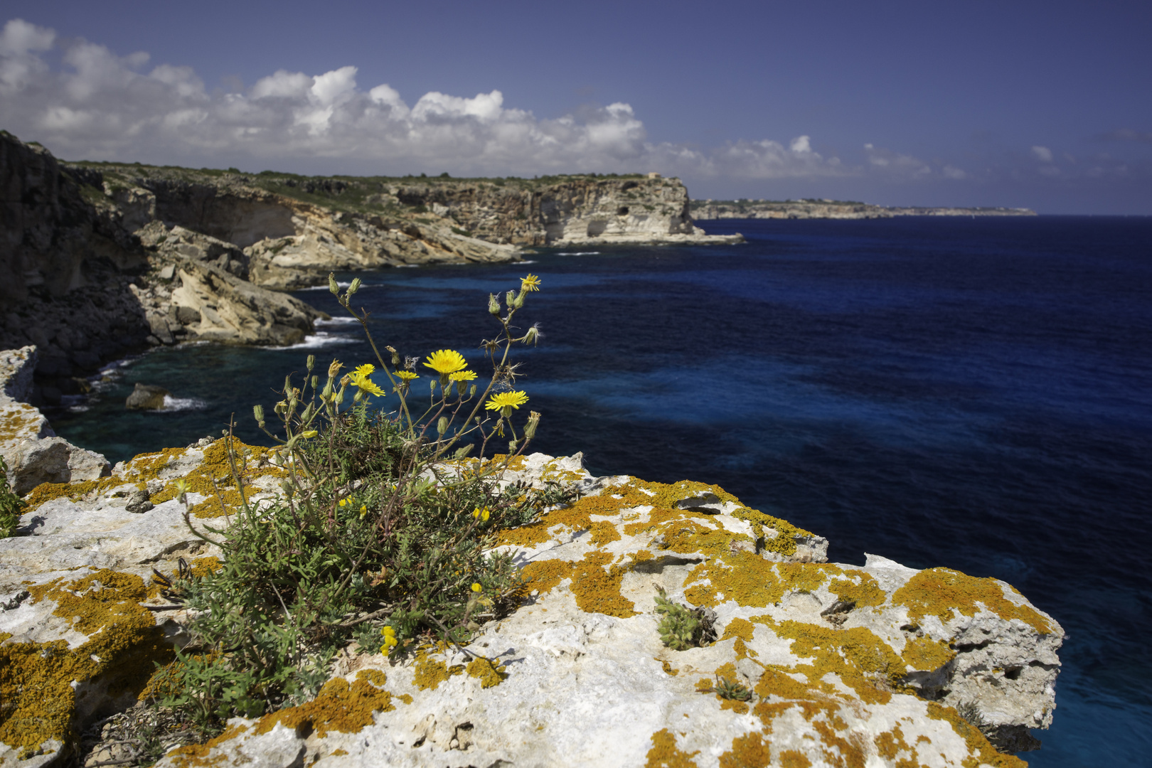 Auf dem Rückweg von der Cala Marmols