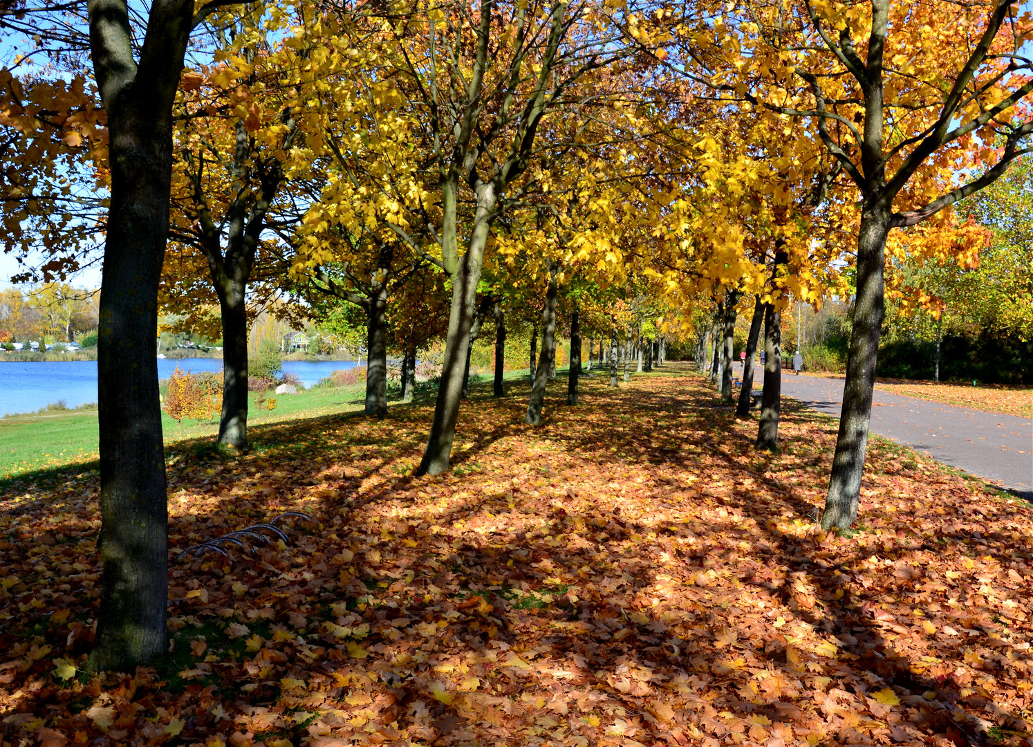 Auf dem Rundweg am Kulkwitzer See…